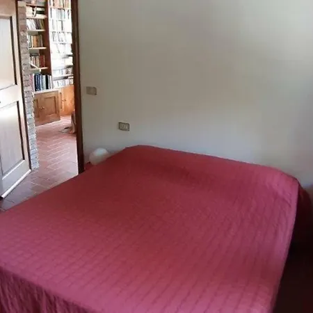 Casapaf *